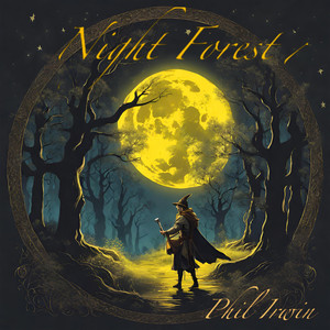 Night Forest