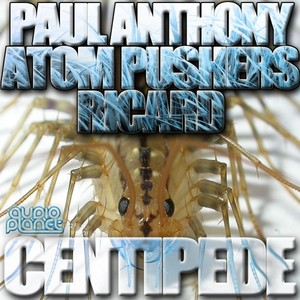 Centipede (Original Mix)