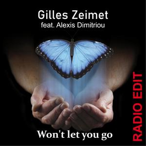 Won't let you go(feat. Alexis Dimitriou) (Radio Edit)