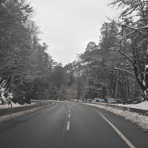 Certain Bout It(feat. Silent-Z) (Explicit)