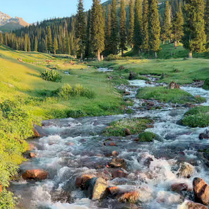 可托海的牧羊人