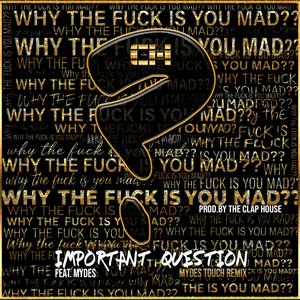 Important Question (feat. Mydes) (Mydes Touch Remix|Explicit)