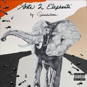 Ants 2 Elephants (Explicit)