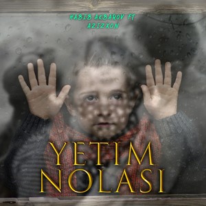 Yetim Nolasi