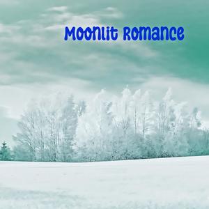 Moonlit Romance