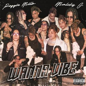 WANNA VIBE (Explicit)