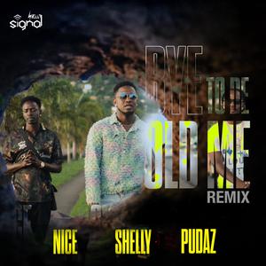 Bye to de Old Me (feat. Shelly, Nice & Dirty Dawg Pudaz) (Remix)