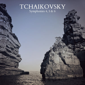 Symphony No. 5 in E Minor, Op. 64 - I. Andante, Allegro con Anima (第一乐章 行板, 有精神的快板)