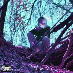 Insomniac (Explicit)