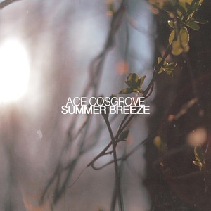 Summer Breeze (Explicit)