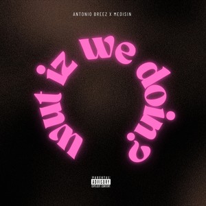 Wut Iz We Doin? (Explicit)