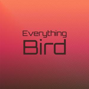 Everything Bird