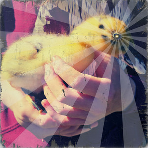 Lil' Baby Ducks (Explicit)