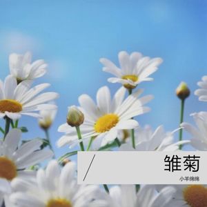 雏菊 (伴奏)