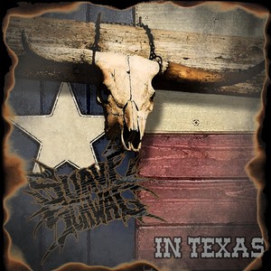 In Texas (feat. T-Ryde) (Explicit)