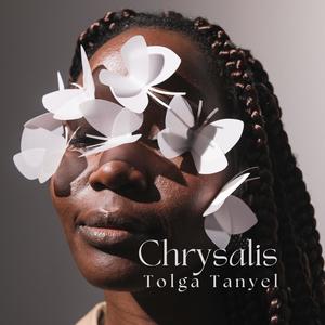 Chrysalis