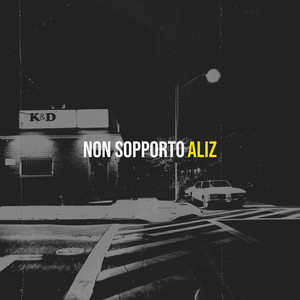Non sopporto