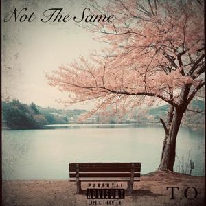 Bonnie & Clyde (feat. StoozyKid) (Explicit)