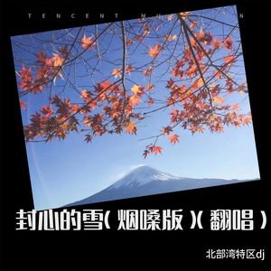 神话情话 (北部湾特区dj remix)