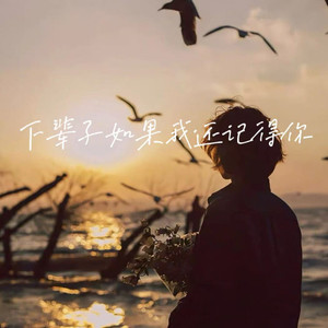 下辈子如果我还记得你 (男声版)
