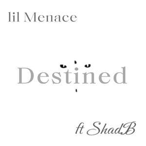 Destined (feat. ShadB) [Explicit]