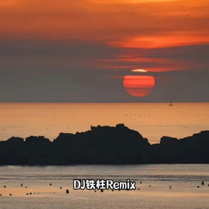DJ铁柱Remix - 情人知己 (DJ版)