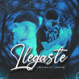 Llegaste