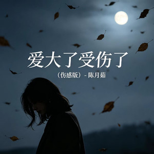 爱大了受伤了 (伤感版)