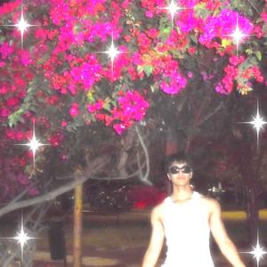 TOA LA PERRA KIEREN LUZ (Explicit)