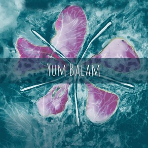 Yum Balam (feat. Sr. García)