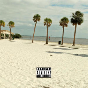 Palm tree (feat. Kick) (Explicit)