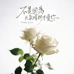 不是因为天气晴朗才爱你 (女声 R&B版)