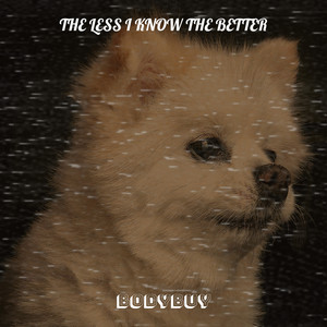 The Less I Know the Better (Explicit)