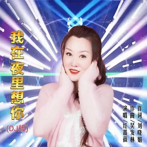 我在夜里想你 (DJ版)