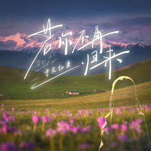 若你不再归来