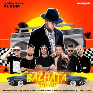 Traicionera (Bachata Version)
