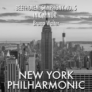 Beethoven_ Symphony #5 In C Minor, Op. 67, 4. Allegro