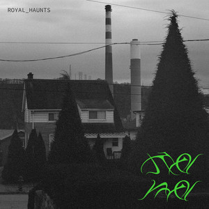 Royal Haunts - Please Baby Baby Please