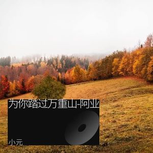 为你踏过万重山-阿业