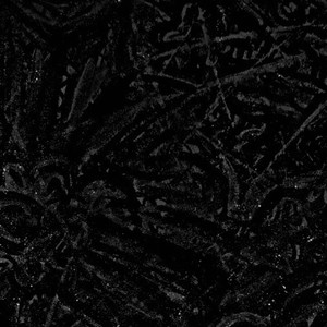 Black Coupe Music (Explicit)