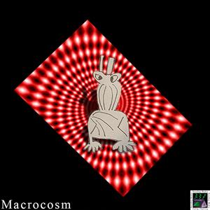 Macrocosm