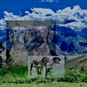 wake up (feat. acres18) (Explicit)