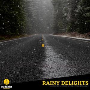 Rainy Delights - Rain Sounds in various Nature Atmospheres, Vol. 9