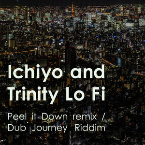 Peel It Down Remix (Dub Journey Riddim)