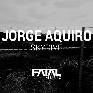 Skydive (Original Mix)