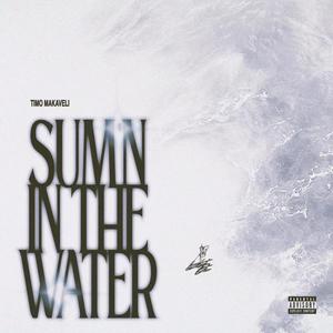 SUM'N IN THE WATER (Explicit)