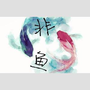 非鱼