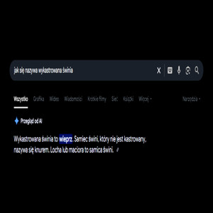 WYDMUSZKA (Explicit)