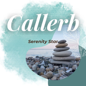 Callerb