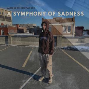 A symphony of sadness (Explicit)